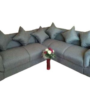 L-shaped couches - living room